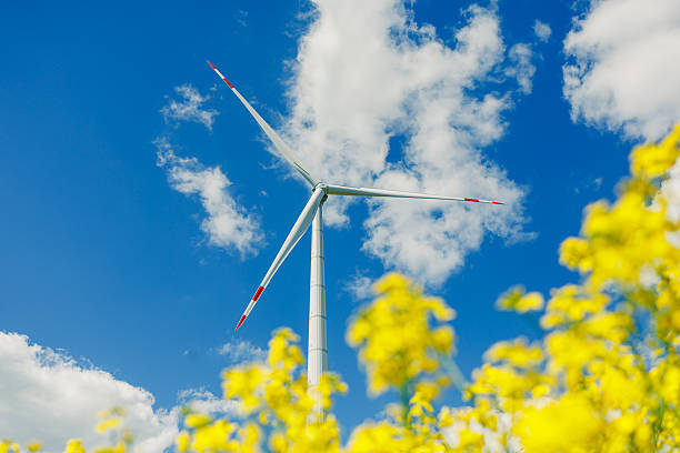 istock Ecological energy generation by windmills from the wind. Windmill field. Wind turbines generating energy against a clear blue sky. Wind turbines generating clean renewable energy in a rural field. 2253061256