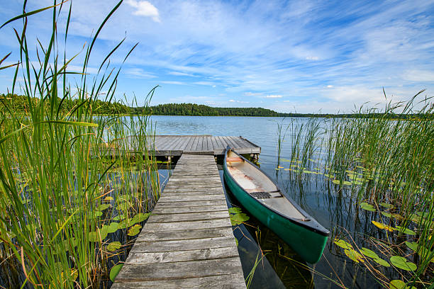 Beautiful morning on the summer lake
