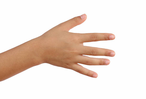 Woman's palm detail, simple and clear, isolated on white for easy design use.