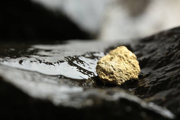 Shiny gold nugget on wet stone, closeup. Space for text