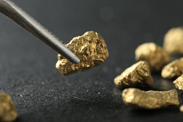 istock Tweezer with shiny gold nugget over grey surface, closeup 2253063596