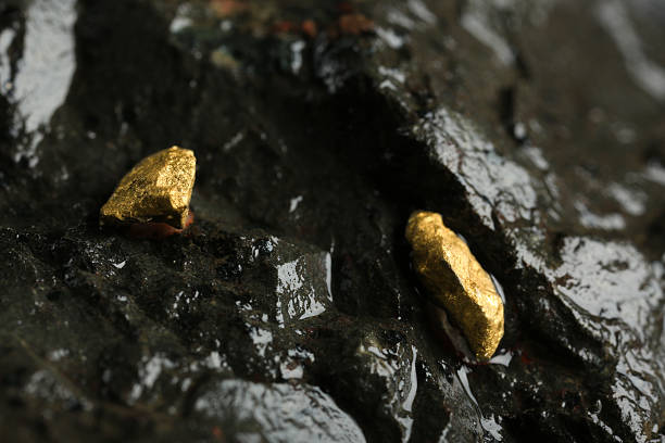Pure gold from the mine on a black background. Gold ore as finance and business concept.