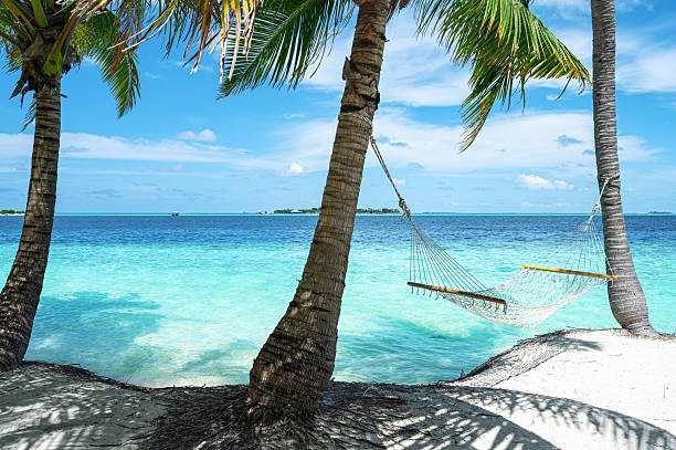Hammock hanging between two coconut palm trees on the tropical paradise beach by beautiful turquoise sea