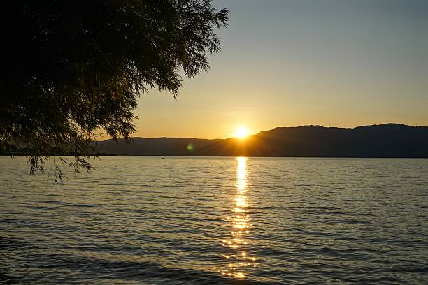 Peaceful sunset over a calm lake with golden reflections, silhouetted tree branches, and distant hills under a gradient sky of warm and cool tones.