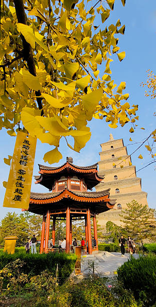 Xi'an Dayan Pagoda(Big Wild Goose Pagoda),China