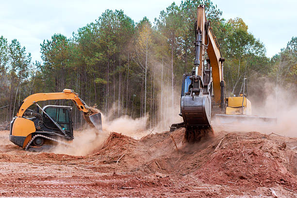 istock Construction equipment clears land in forested area 2253067888