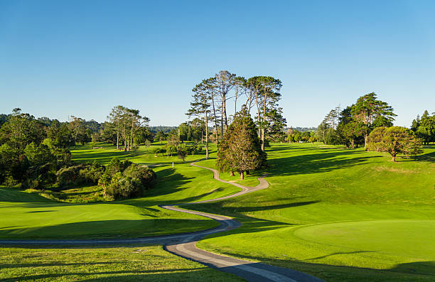 A meandering asphalt road weaves through a lush golf course, surrounded by vibrant greenery and trees, creating a serene and visually striking aerial landscape.