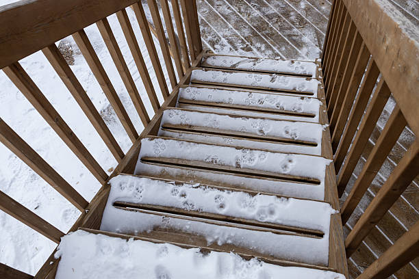 istock Domestic cat paw prints on a snow covered deck stairs 2253070659