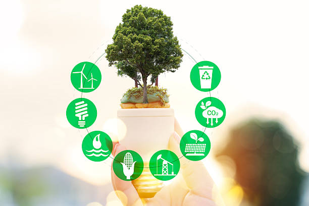 istock Green Energy Sustainability Concept Light Bulb With Tree And Renewable Icons 2253072862