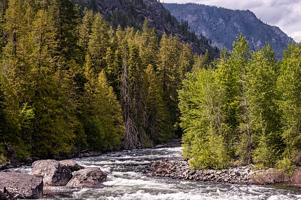 istock Forest and Mountain Canyon with River 2253073778