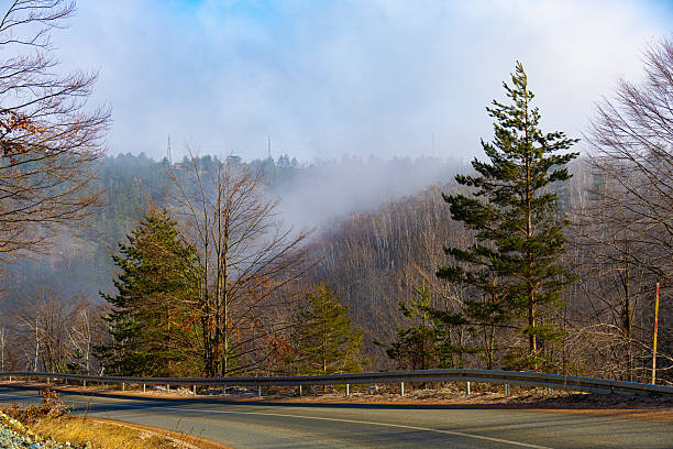 Asphalt car road through foggy forest, Serbia