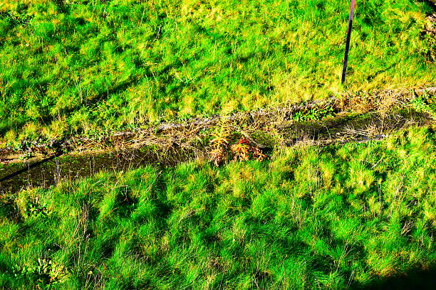 autumn scene in the Lorraine, at the border