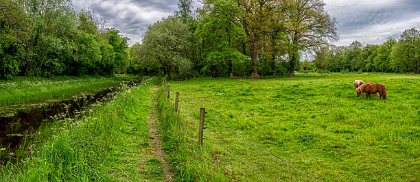 Two ponies are grazing in a green pasture beside a narrow canal under a cloudy sky