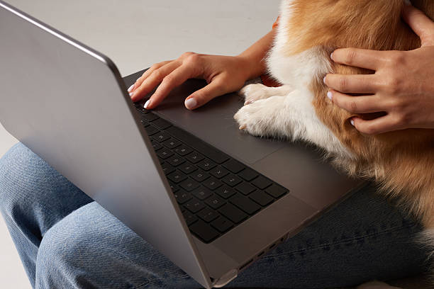 istock Dog paws on laptop keyboard while owner types online pet shopping concept 2253088757