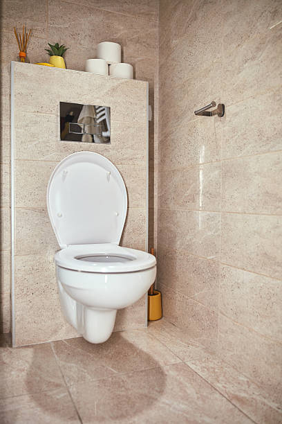 istock Ordinary toilet restroom at home. 2253096297