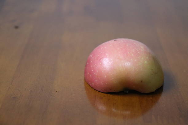 Two apples have grown together. Double apple. An apple development anomaly.