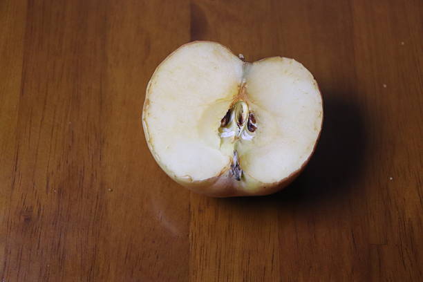 Red Apple on white background