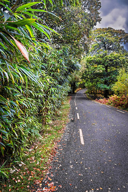 istock Ireland country road, Co. Kerry 2253102621