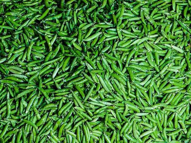 THE PILE OF GREEN SUGAR SNAP PEA PODS