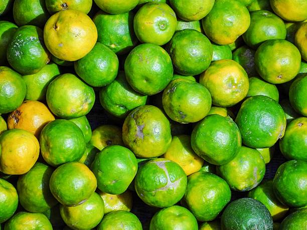 istock THE FRESH GREEN MANDARIN ORANGES 2253106277