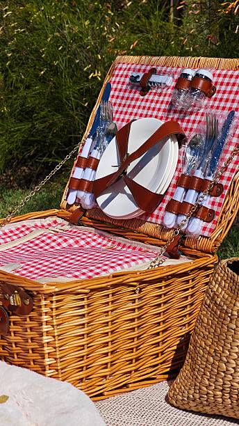istock Picnic scene showing picnic basket with plates. 2253109950