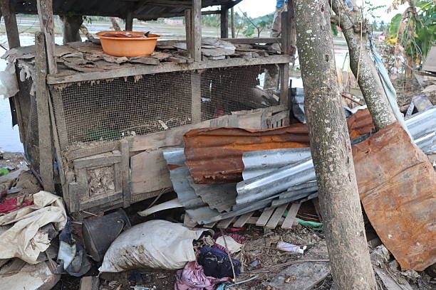 istock Damaged Makeshift Coop in a Debris strewn Rural Area 2253110359