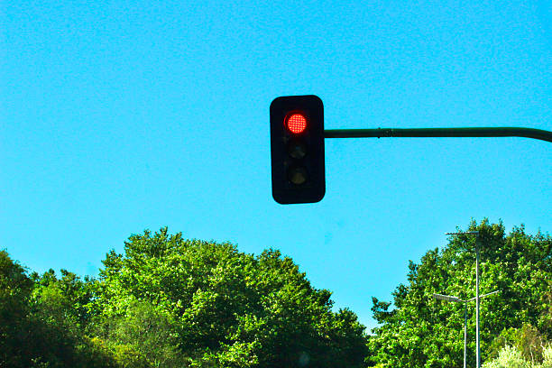 Red traffic light, green tree leaves in the background. Clear blue sky