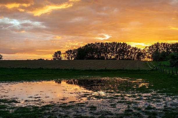 istock Nature in East Flanders 2253116126