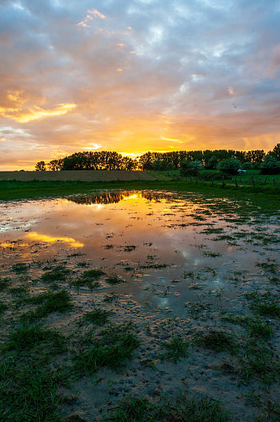 istock Nature in East Flanders 2253116136