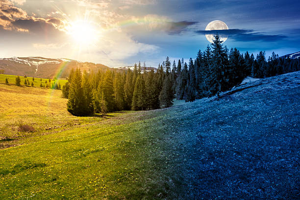 istock meadow and forest in mountain landscape 2253116870