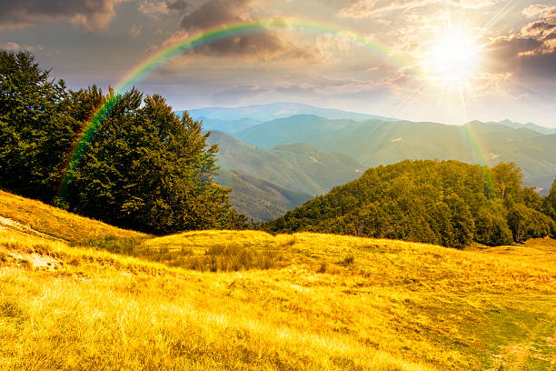 istock beautiful mountain landscape with beech trees on rolling hills at sunset 2253116906