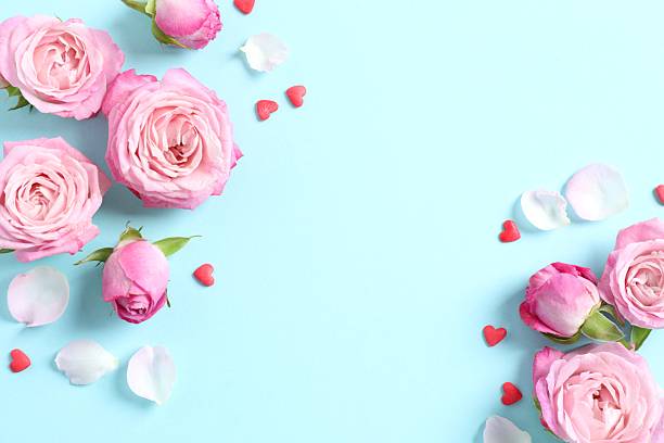 istock Beautiful composition with pink roses on color background 2253117509