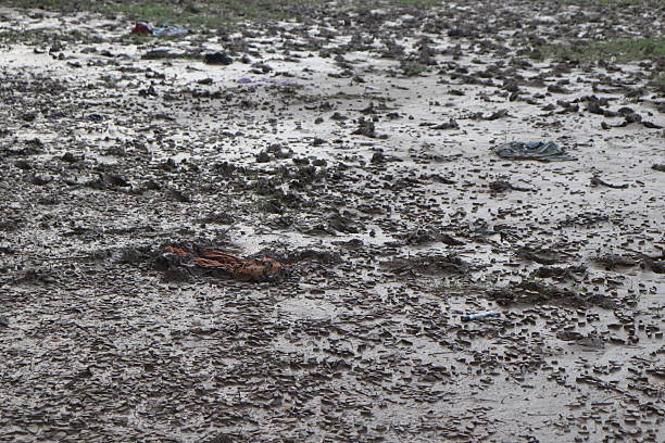 Close up view of a muddy, polluted ground scattered with trash, dried leaves, and debris, showing environmental neglect
