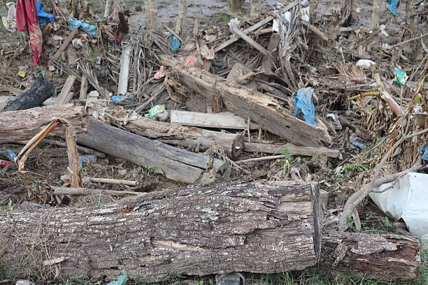 istock Environmental Debris from Logs and Plastic Waste Pollution 2253118839