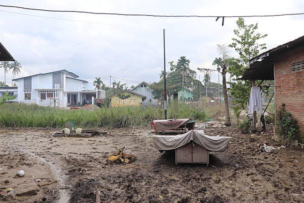 istock Messy Backyard with Mud and Debris in a Rural Village 2253119059