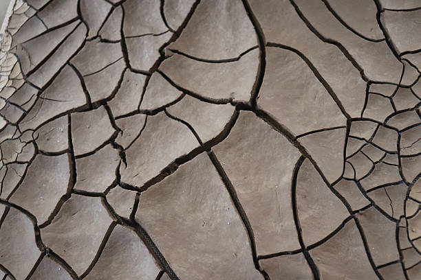 Ground texture. Rough, dry, cracked soil. Color of the Year Mocha Mousse.