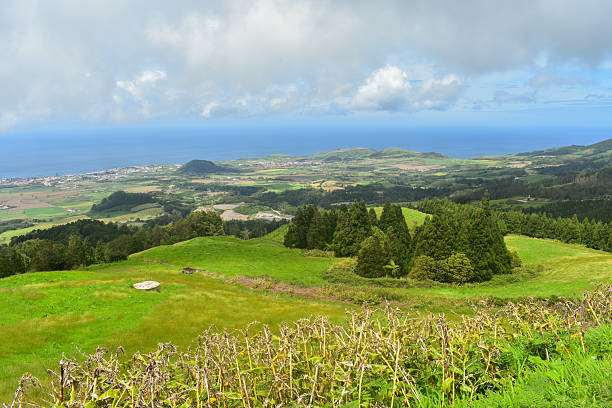Sao Miguel, Azores fields during the summer
