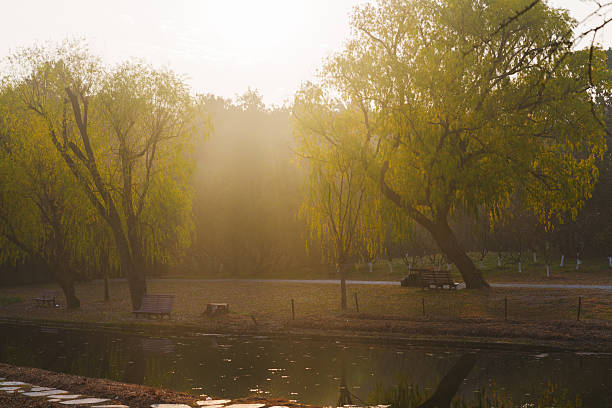 On a crisp autumn morning, sunlight streamed onto the park path.