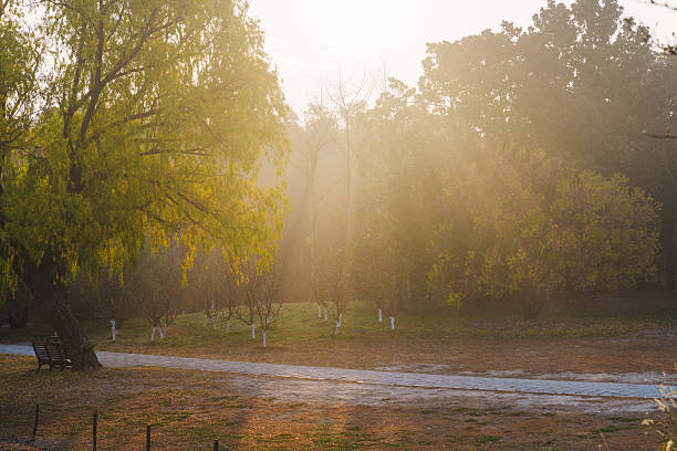 On a crisp autumn morning, sunlight streamed onto the park path.
