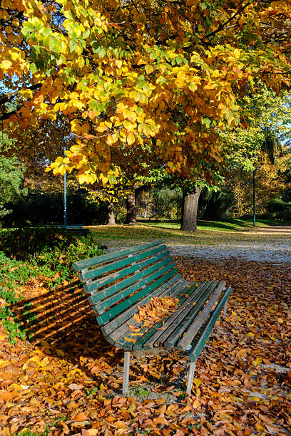 istock Autumn at Parco Sempione, Milan 2253122690
