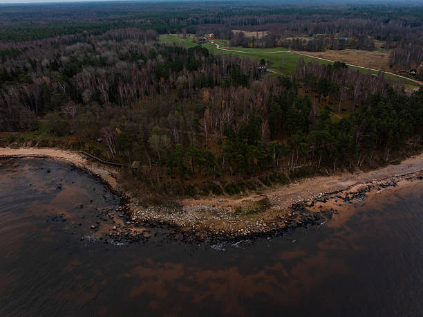 istock Rugged Baltic shoreline at dusk with curving coast and mixed forest 2253124883