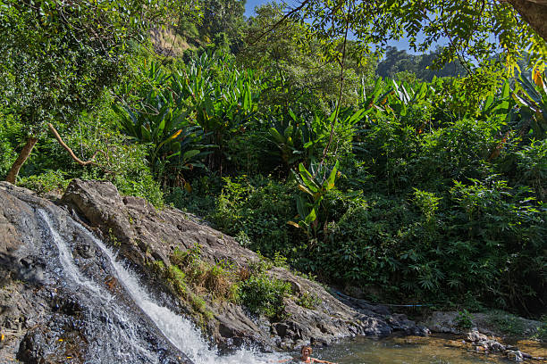 istock cascading waterfall in dense jungle, khao yai, thailand, sarika waterfall 2253128895
