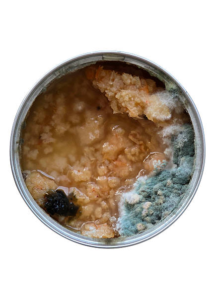 istock Canned food spoiling with mold and bacteria growth 2253128974