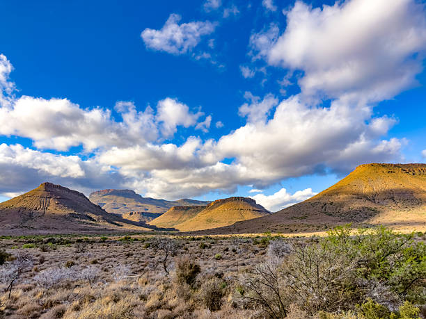View of Arid desert landscape in the Karoo, South Africa