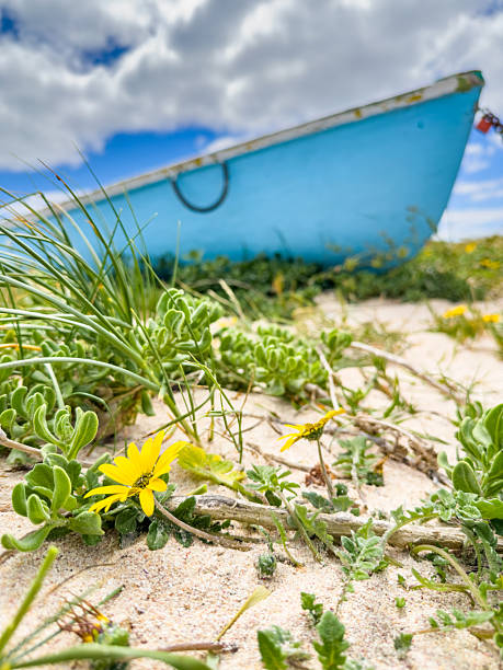 Small rowboat dinghy on a beach beneath beautiful blue azure sky, South Africa