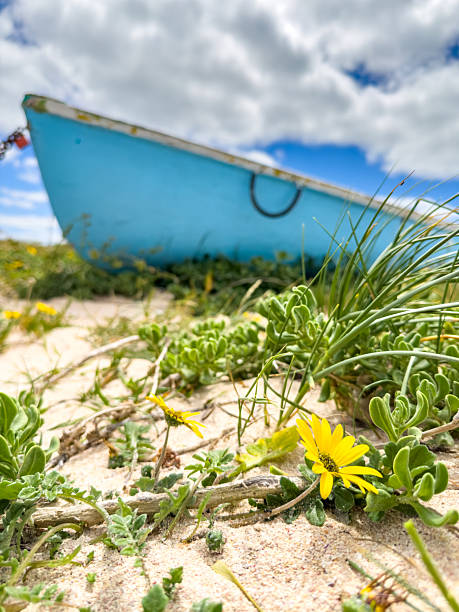 istock Small rowboat dinghy on a beach beneath beautiful blue azure sky 2253133429