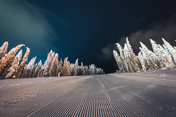 Skiing track in Himos, Finland