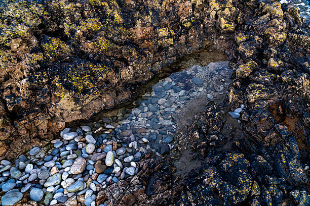 Gwangchigi Beach in Jeju Island, South Korea