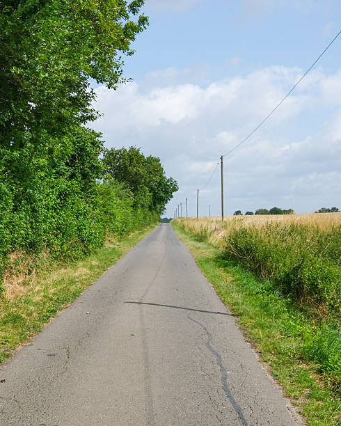 istock Scenic country road lined with trees and fields under a blue sky on a bright day 2253135886