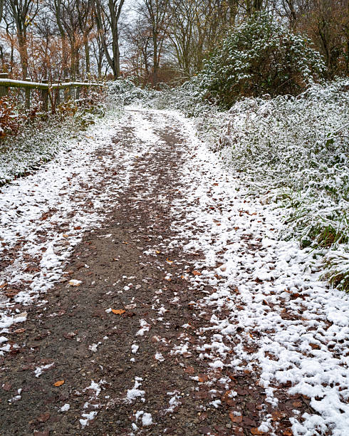 A winding dirt path in a serene forest is covered in a light layer of snow. Nearby trees and underbrush show hints of autumn foliage as winter approaches.